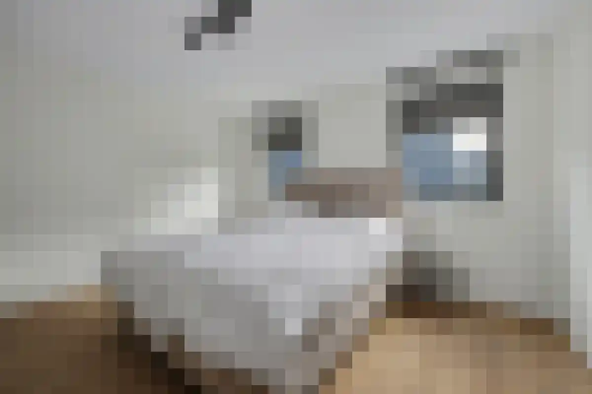 Stationsweg 5 g Sliedrecht thumbnail 6