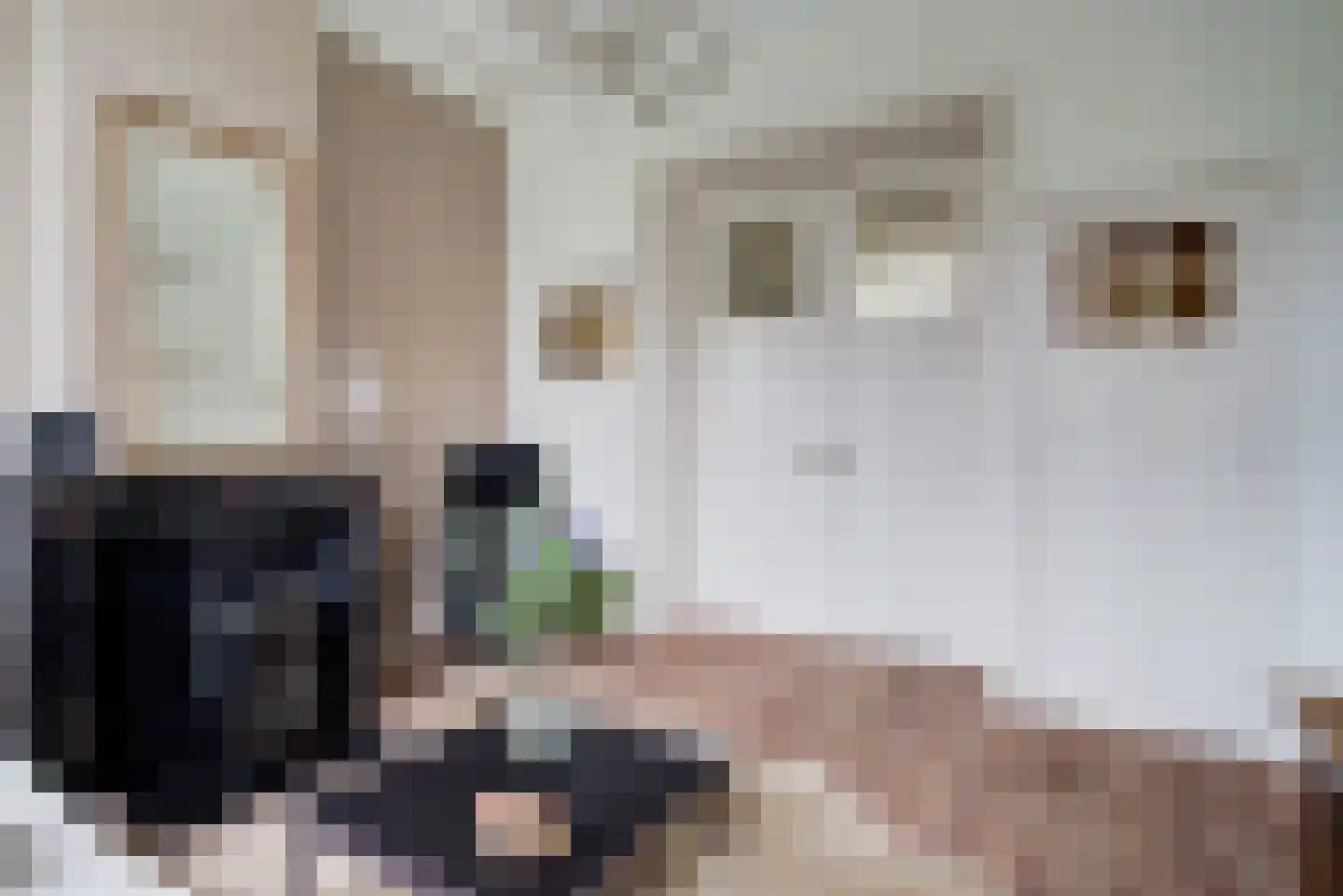 Stationsweg 5 Geertruidenberg thumbnail 14