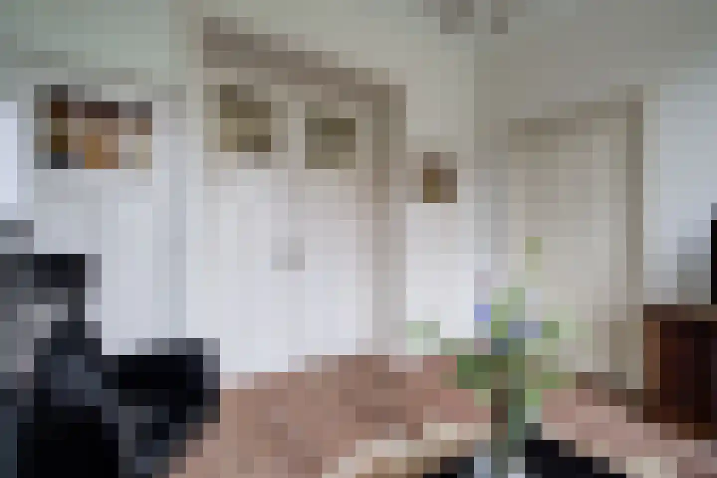 Stationsweg 5 Geertruidenberg thumbnail 15