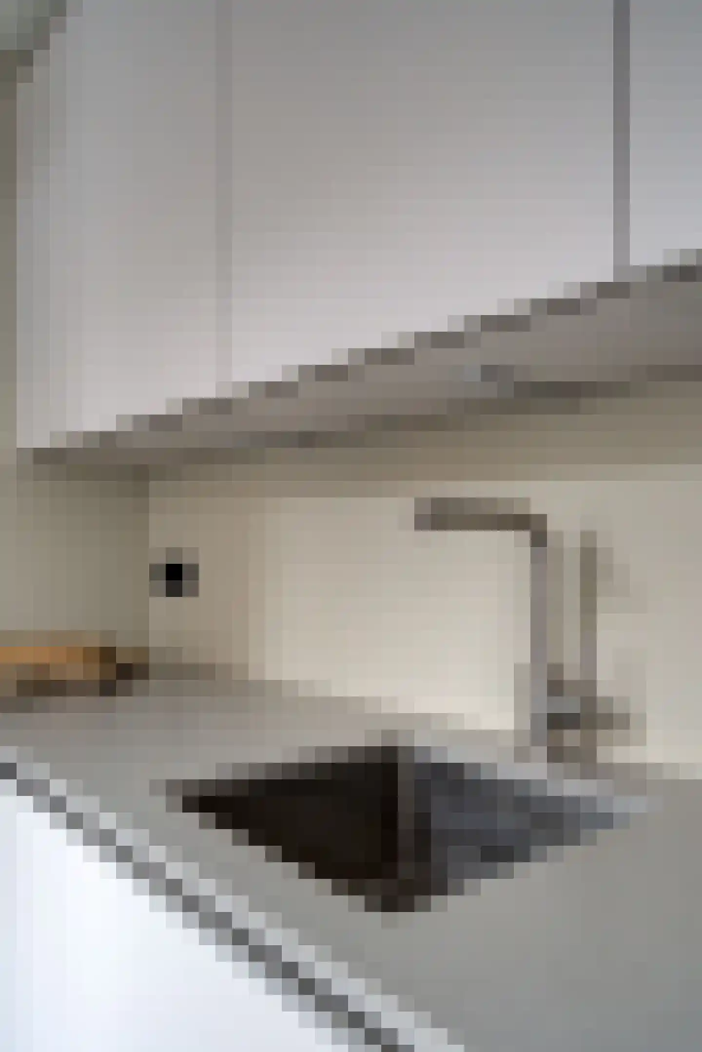 Stationsweg 5 Geertruidenberg thumbnail 24