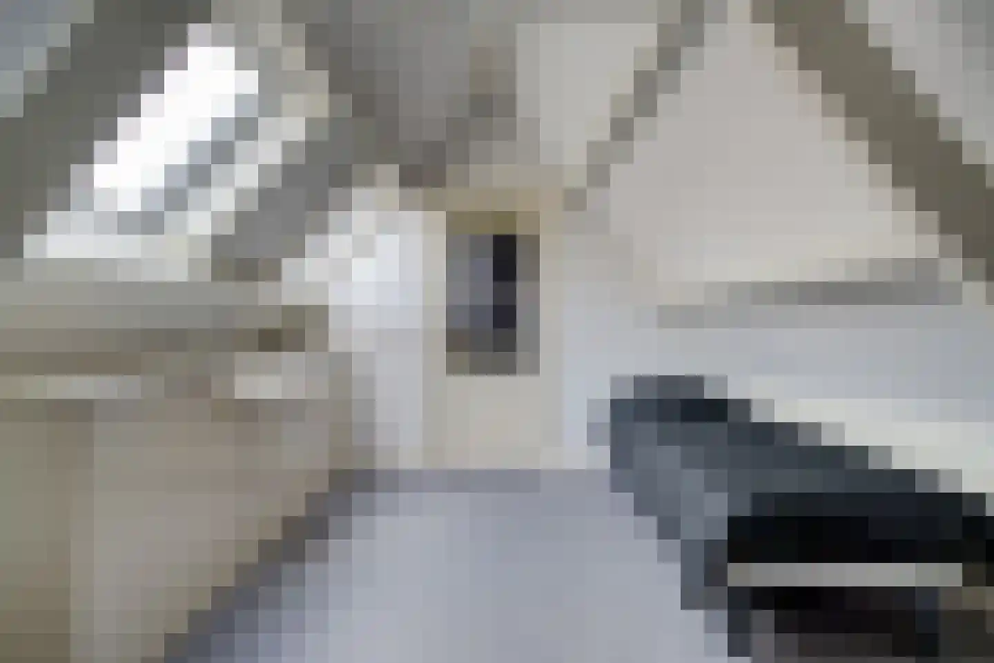 Stationsweg 5 Geertruidenberg thumbnail 47