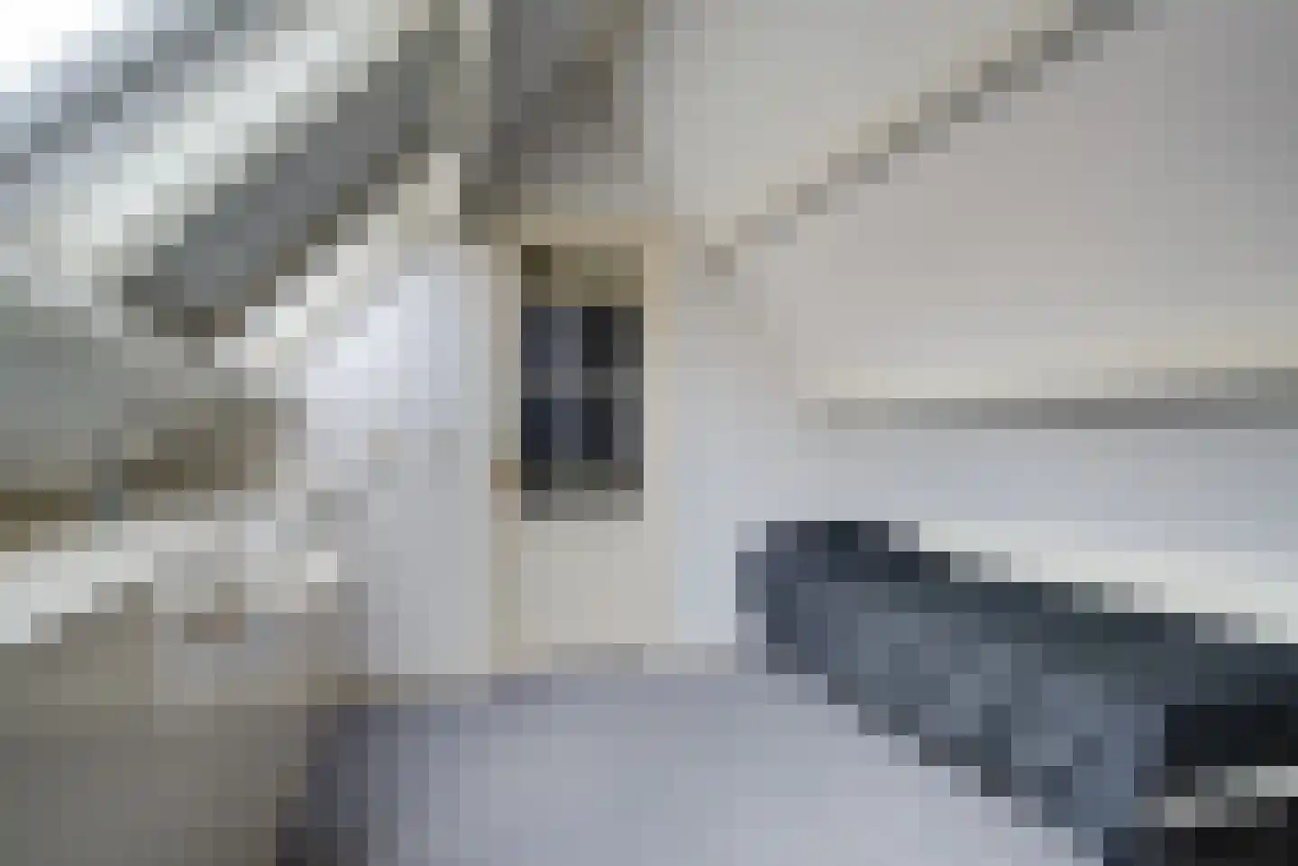 Stationsweg 5 Geertruidenberg thumbnail 48