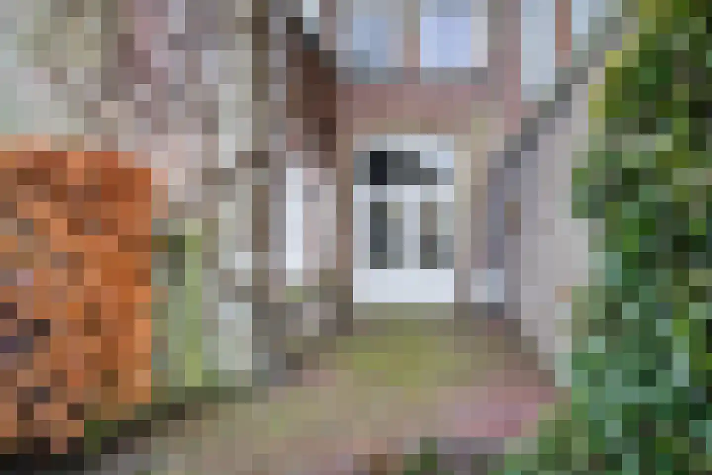 Stationsweg 5 Geertruidenberg thumbnail 54