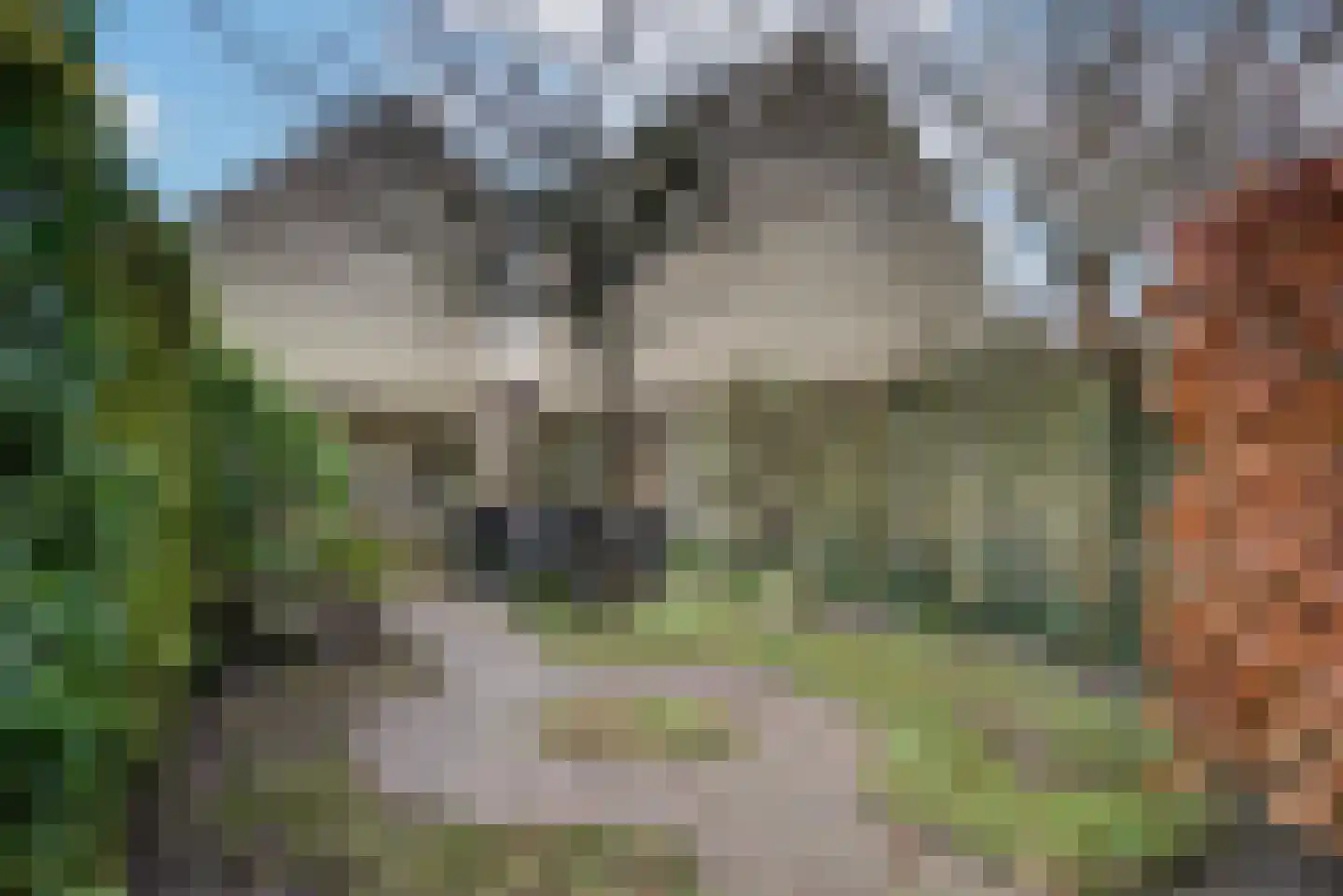 Stationsweg 5 Geertruidenberg thumbnail 57
