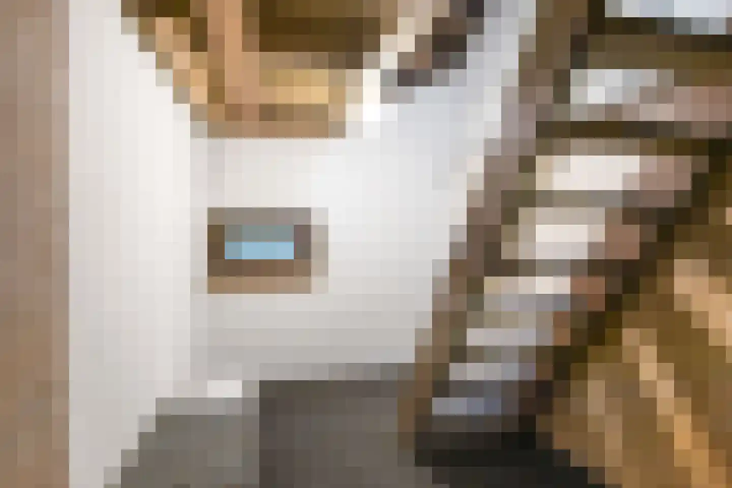 Stationsweg 5 Lutjegast thumbnail 13