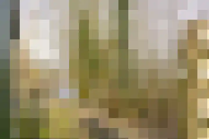 Stationsweg 5 Lutjegast thumbnail 26