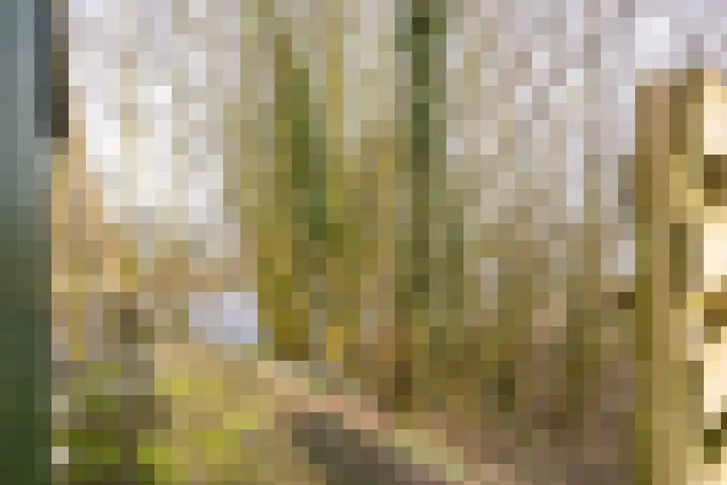 Stationsweg 5 Lutjegast thumbnail 26