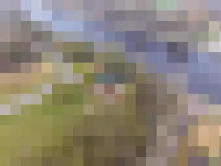 Stationsweg 5 Lutjegast thumbnail 29