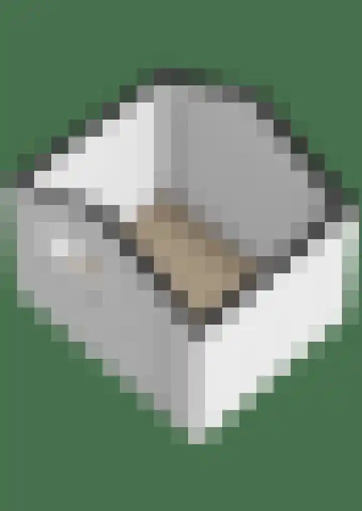 Stationsweg 5 Lutjegast thumbnail 46