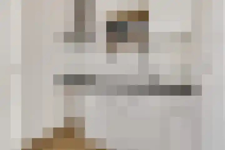Stationsweg 50 B Ede thumbnail 9
