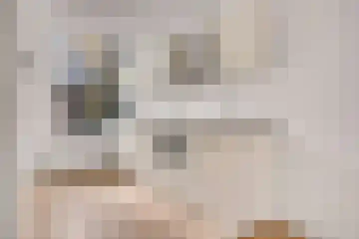 Stationsweg 50 Bunnik thumbnail 17