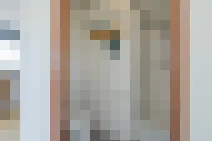 Stationsweg 51 Hillegom thumbnail 50