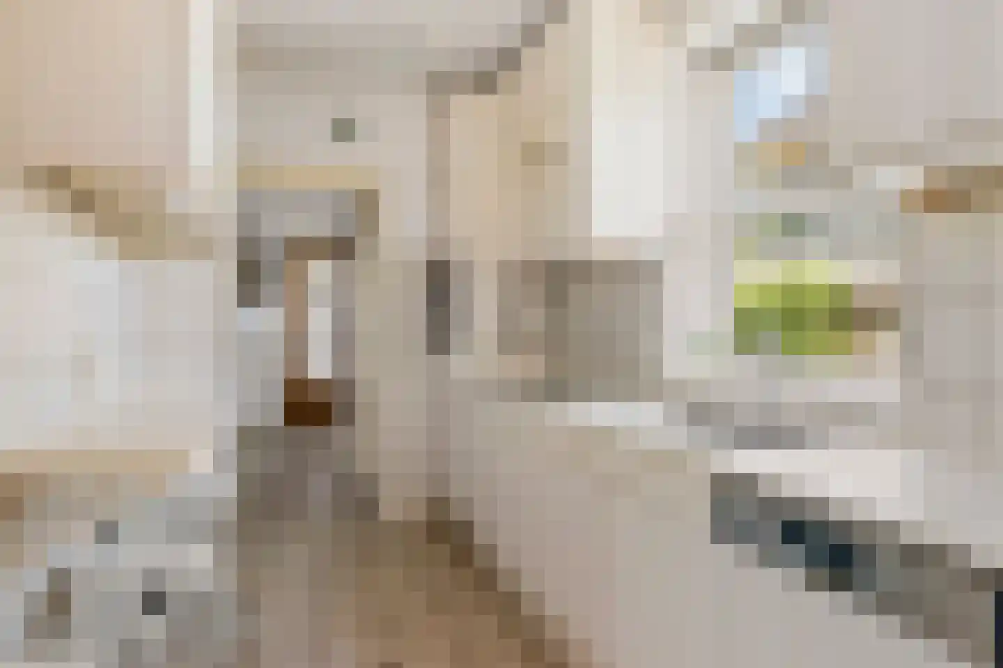 Stationsweg 51 Oosterbeek thumbnail 20