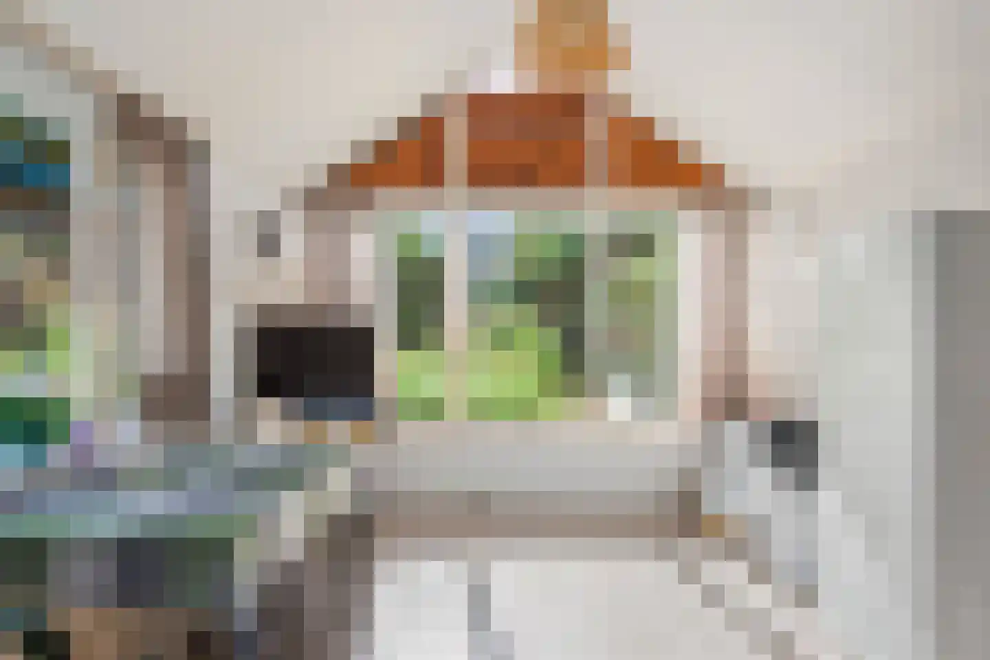 Stationsweg 51 Oosterbeek thumbnail 22
