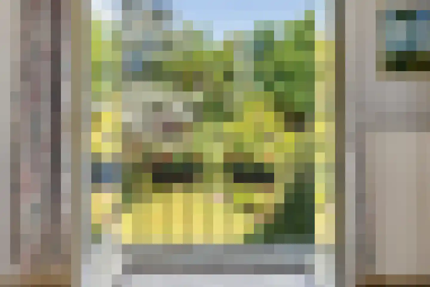 Stationsweg 51 Oosterbeek thumbnail 38