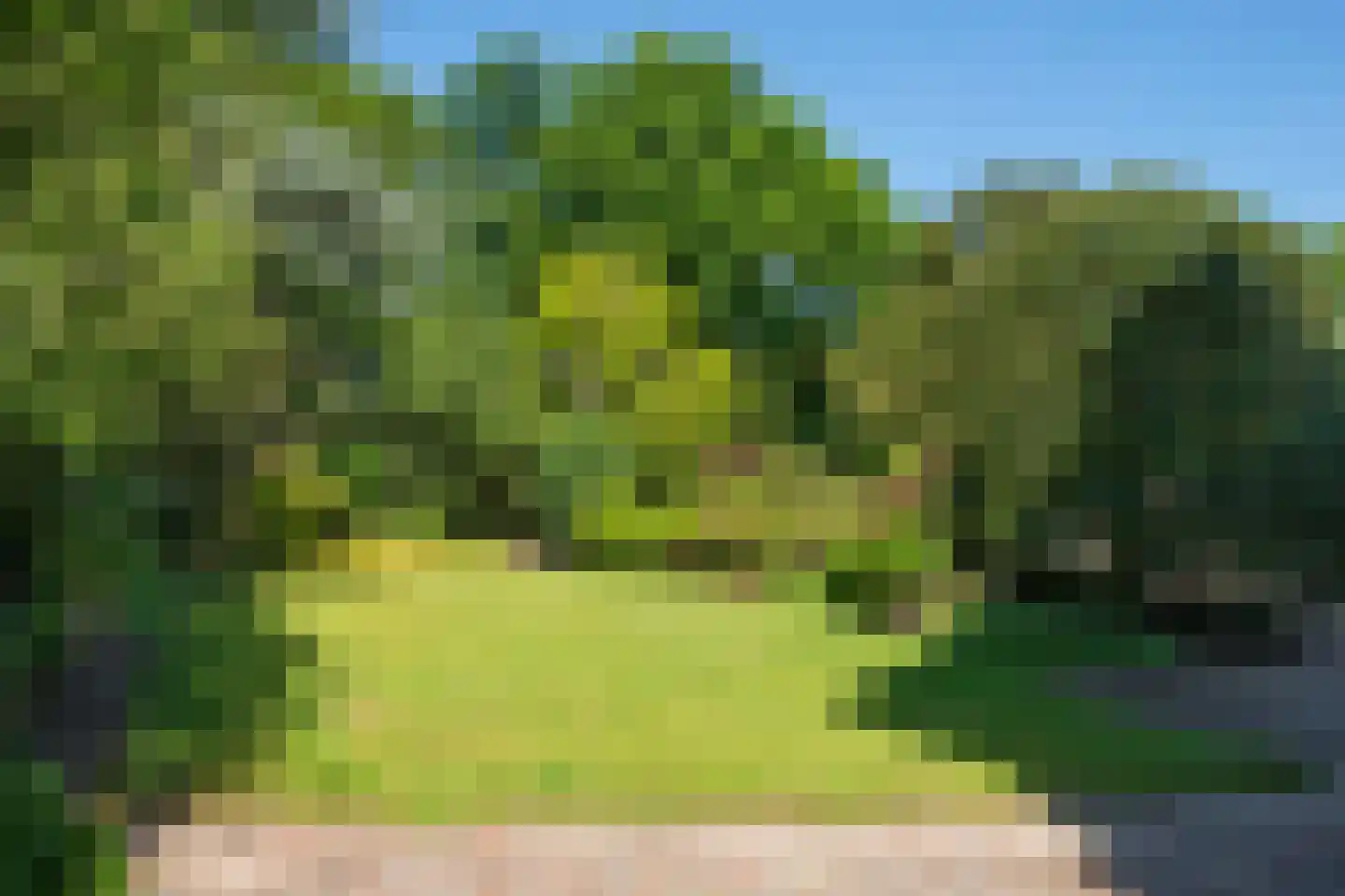 Stationsweg 51 Oosterbeek thumbnail 63