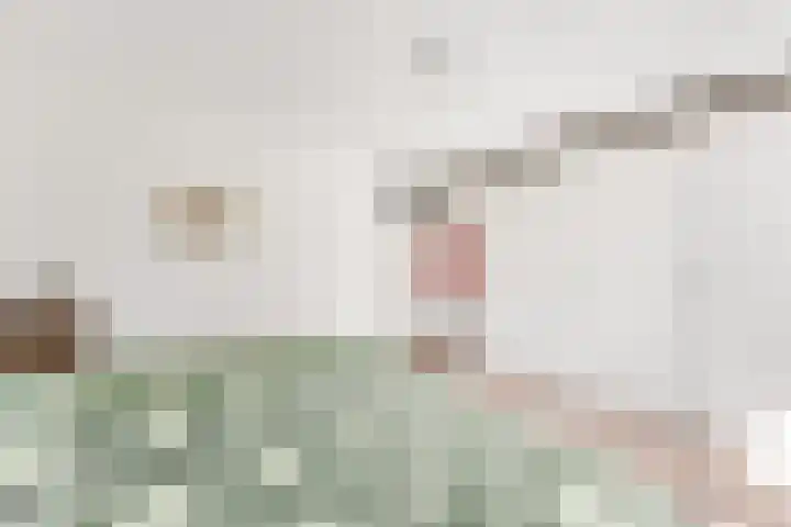 Stationsweg 52 2 Ede thumbnail 17