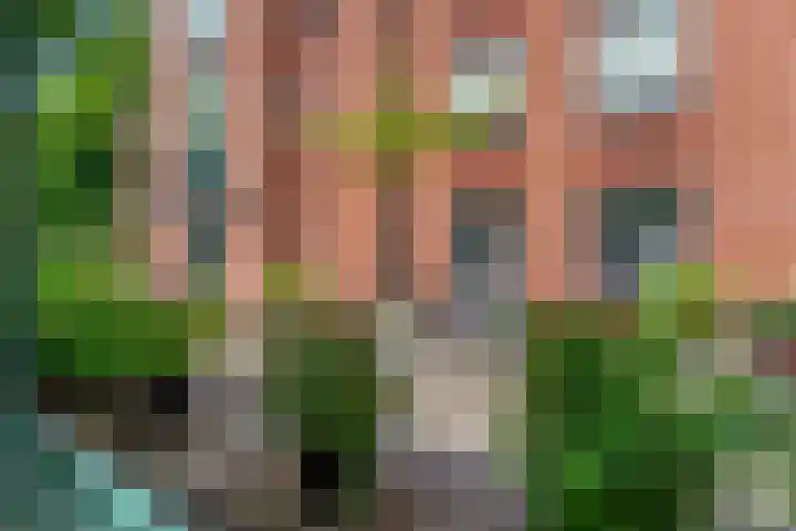 Stationsweg 52 2 Ede thumbnail 40