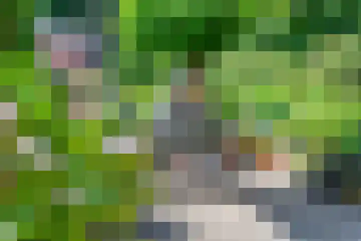 Stationsweg 52 2 Ede thumbnail 50