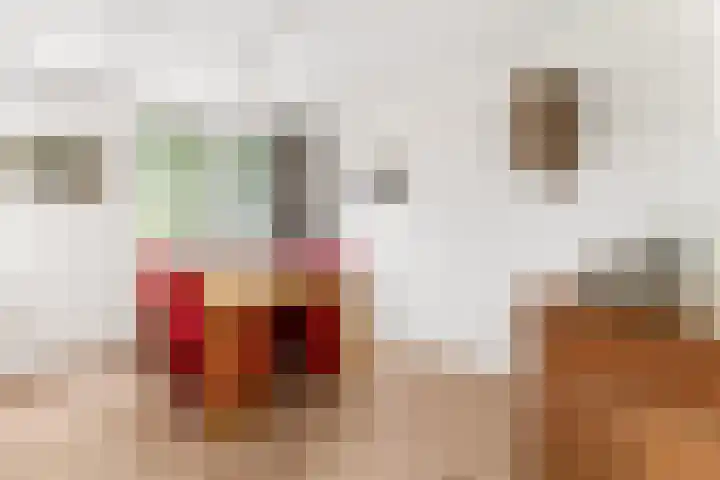 Stationsweg 52 2 Ede thumbnail 8