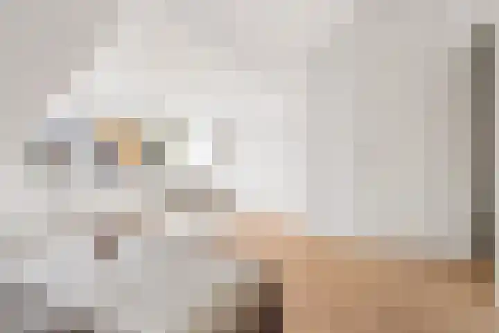 Stationsweg 52 Bunnik thumbnail 23