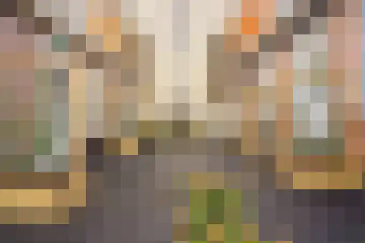 Stationsweg 52 Bunnik thumbnail 41