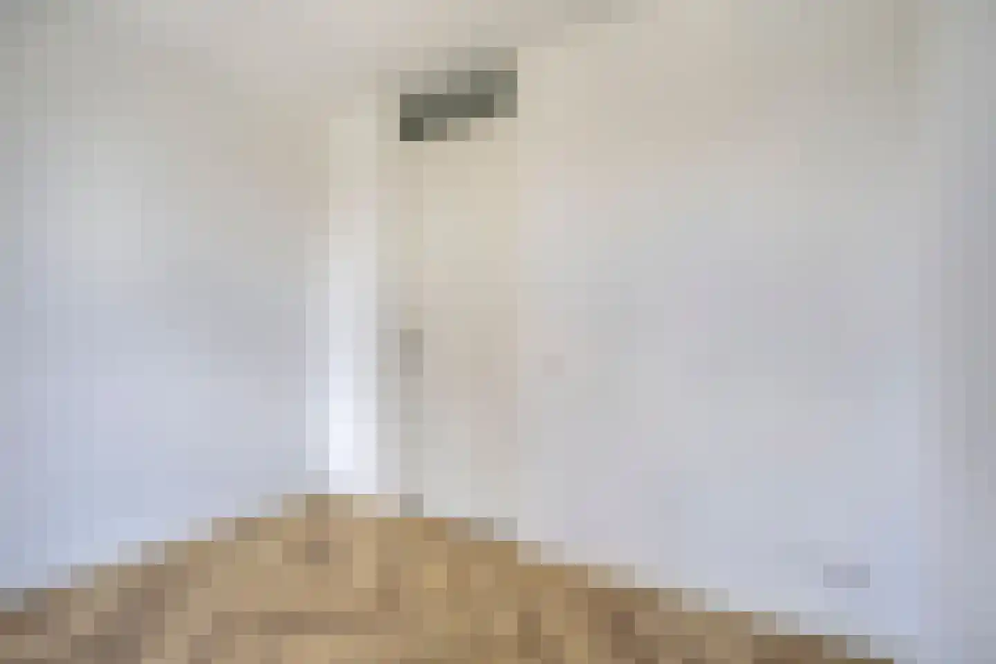 Stationsweg 52 Kwadijk thumbnail 18