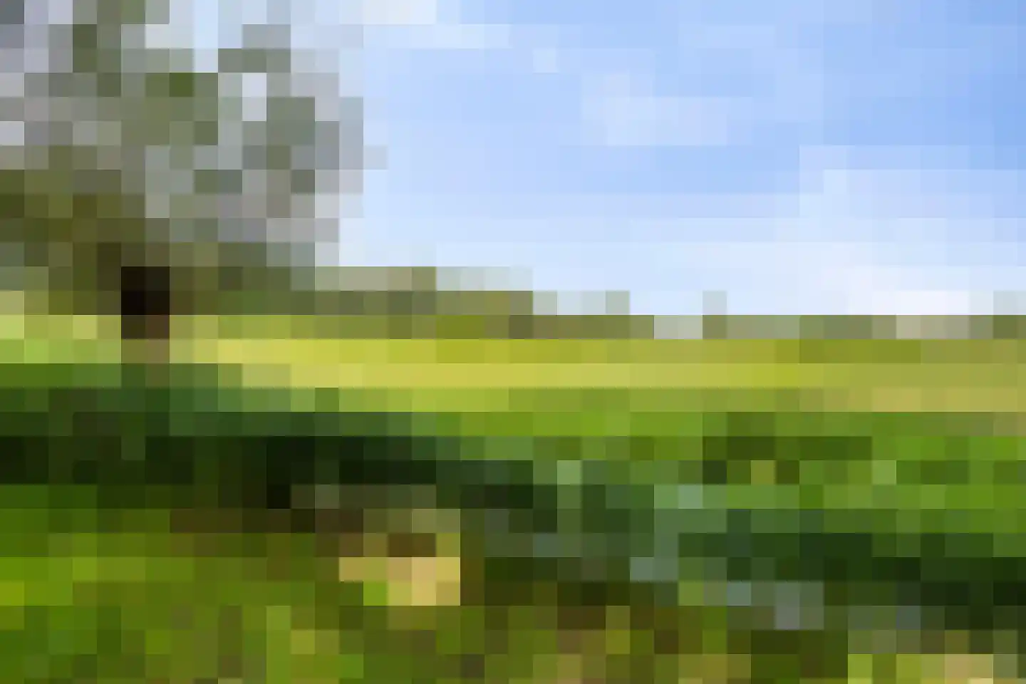 Stationsweg 52 Kwadijk thumbnail 27