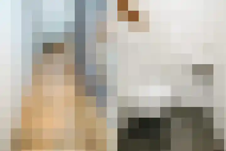 Stationsweg 53 B Den Haag thumbnail 47