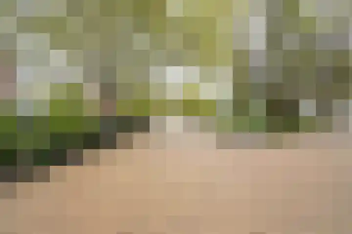 Stationsweg 53 B Den Haag thumbnail 50