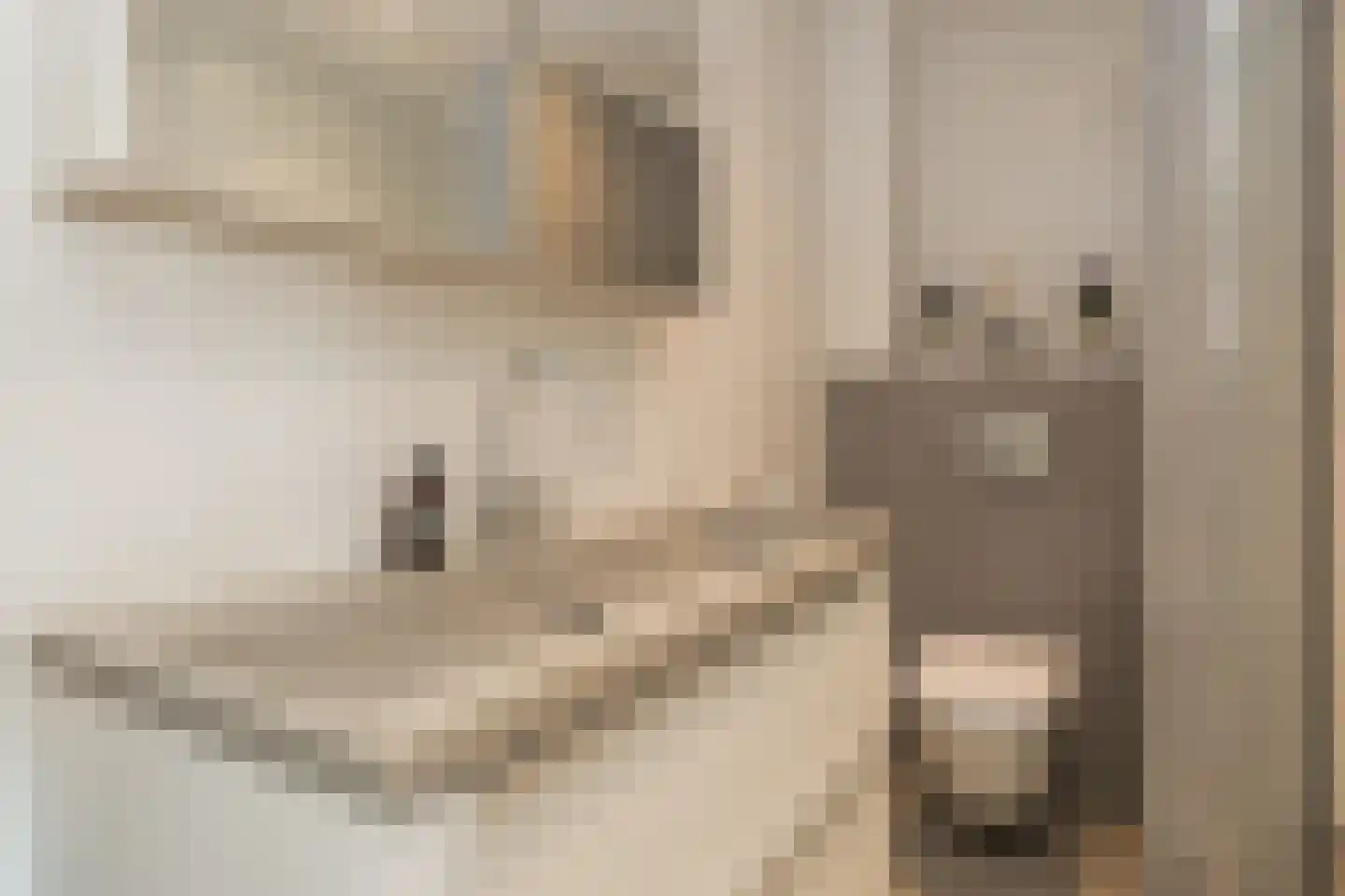 Stationsweg 53 Hillegom thumbnail 29