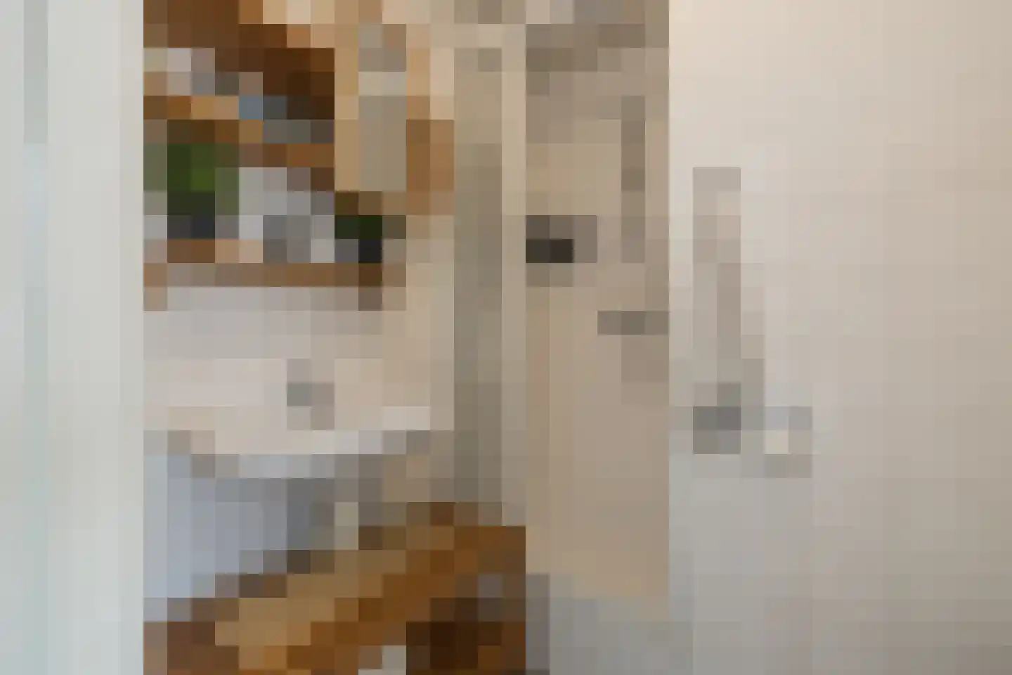 Stationsweg 53 Hillegom thumbnail 37