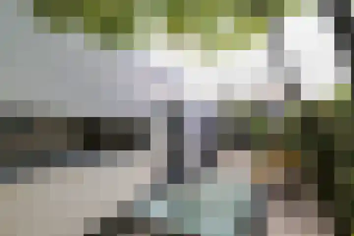 Stationsweg 53 Oostvoorne thumbnail 51