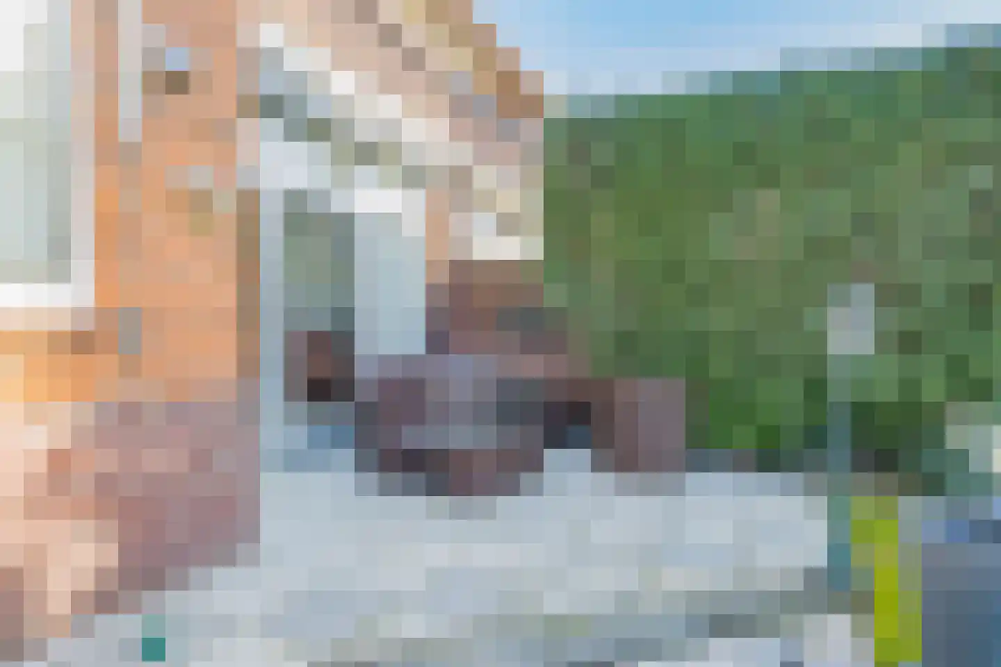 Stationsweg 53 Velsen-Zuid thumbnail 24