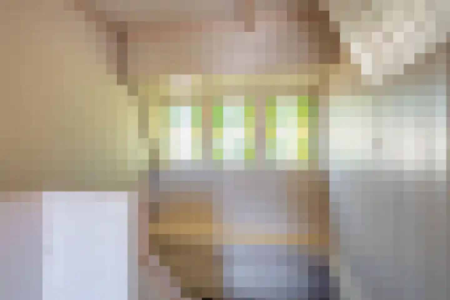 Stationsweg 53 Winschoten thumbnail 36