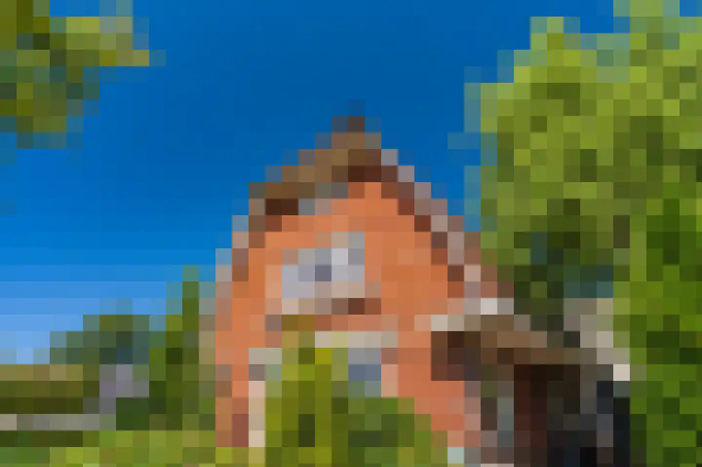 Stationsweg 53 Winschoten thumbnail 6
