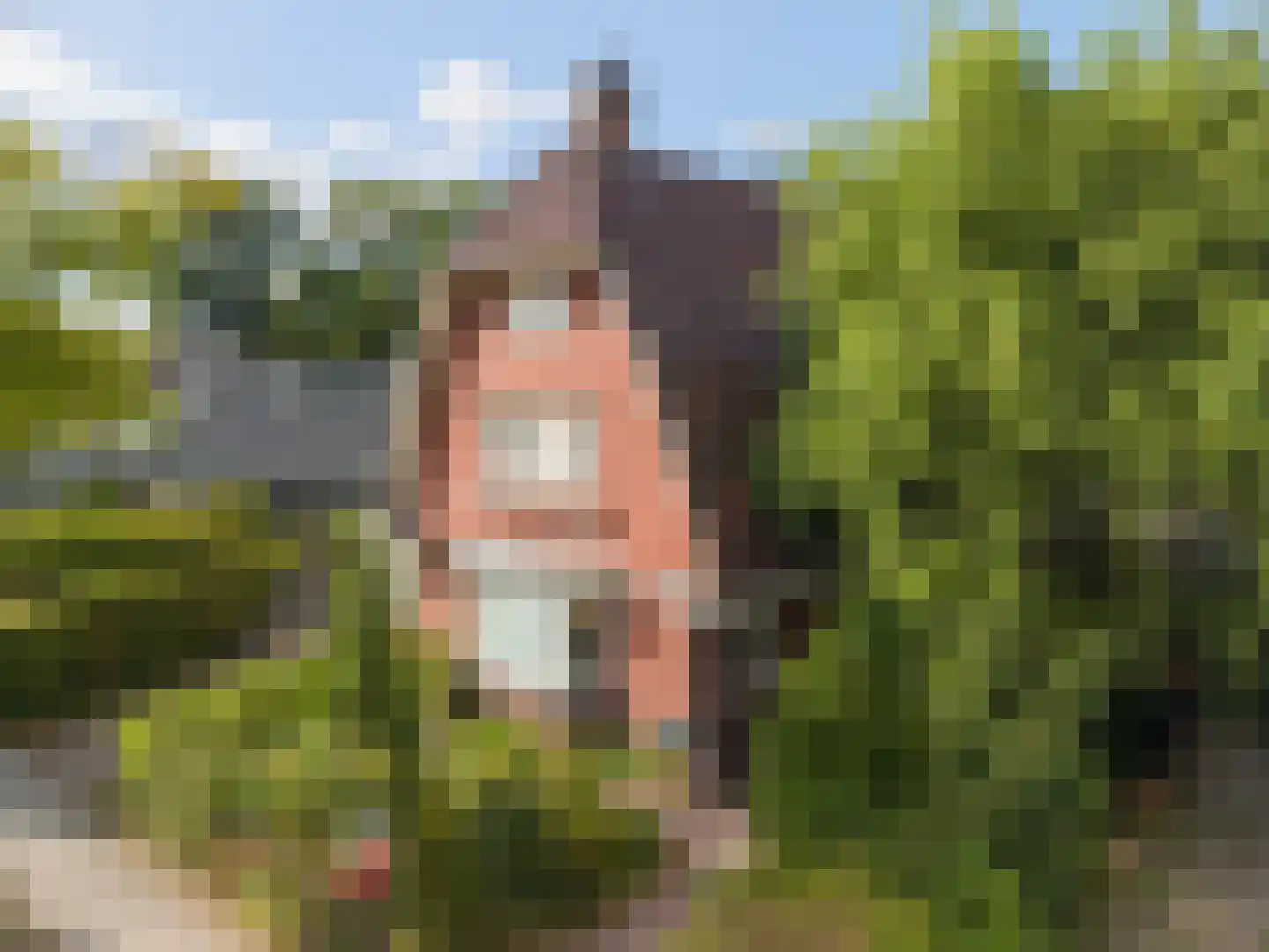 Stationsweg 53 Winschoten thumbnail 65