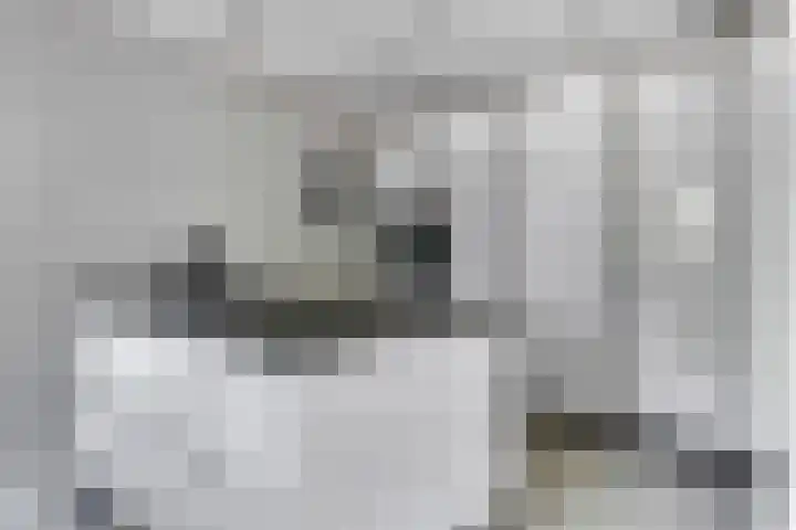 Stationsweg 54 6 Ede thumbnail 14
