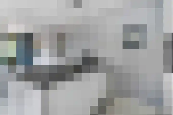 Stationsweg 54 6 Ede thumbnail 15
