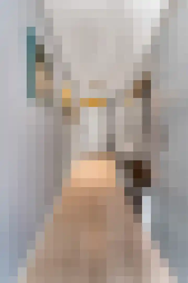Stationsweg 54 6 Ede thumbnail 17