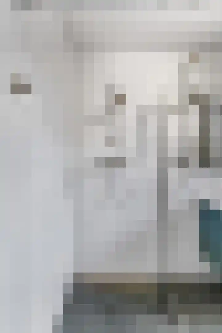 Stationsweg 54 6 Ede thumbnail 25