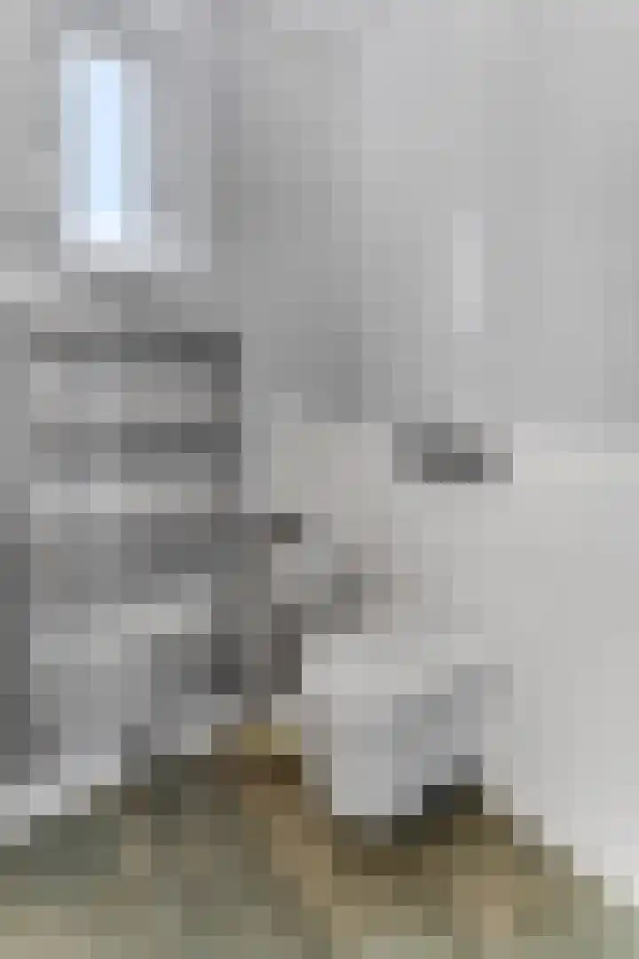 Stationsweg 54 6 Ede thumbnail 26
