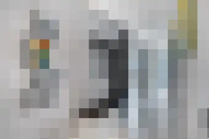 Stationsweg 54 6 Ede thumbnail 29