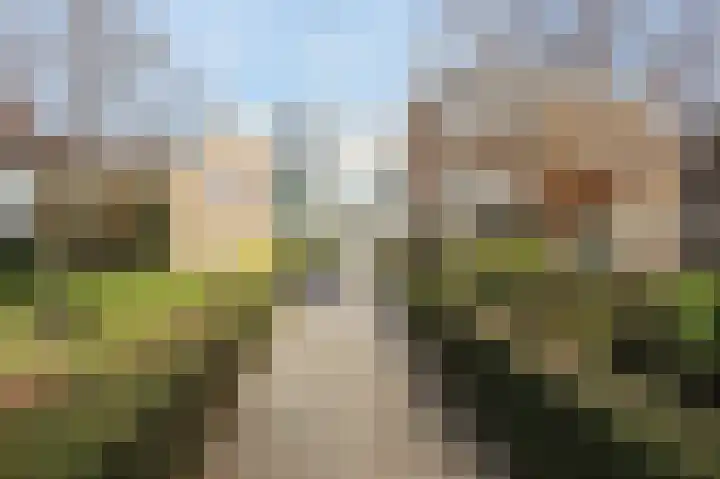 Stationsweg 54 a Oostvoorne thumbnail 11