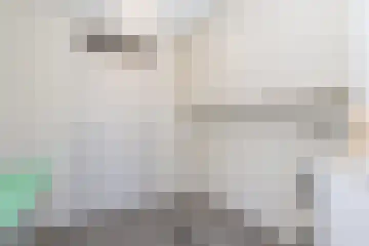Stationsweg 54 a Oostvoorne thumbnail 38