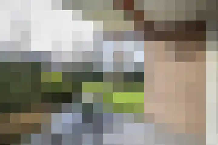 Stationsweg 54 a Oostvoorne thumbnail 43