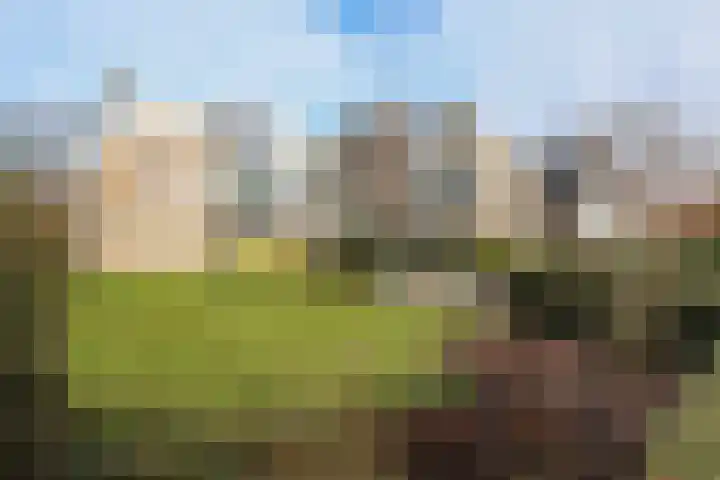 Stationsweg 54 a Oostvoorne thumbnail 9