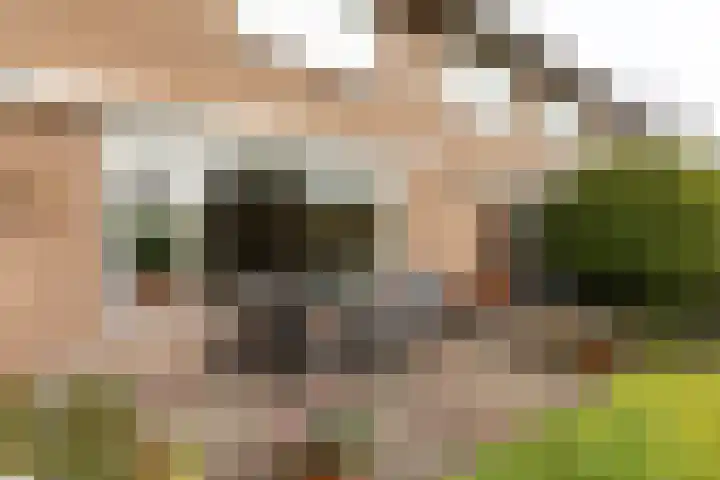 Stationsweg 55 Baarn thumbnail 31