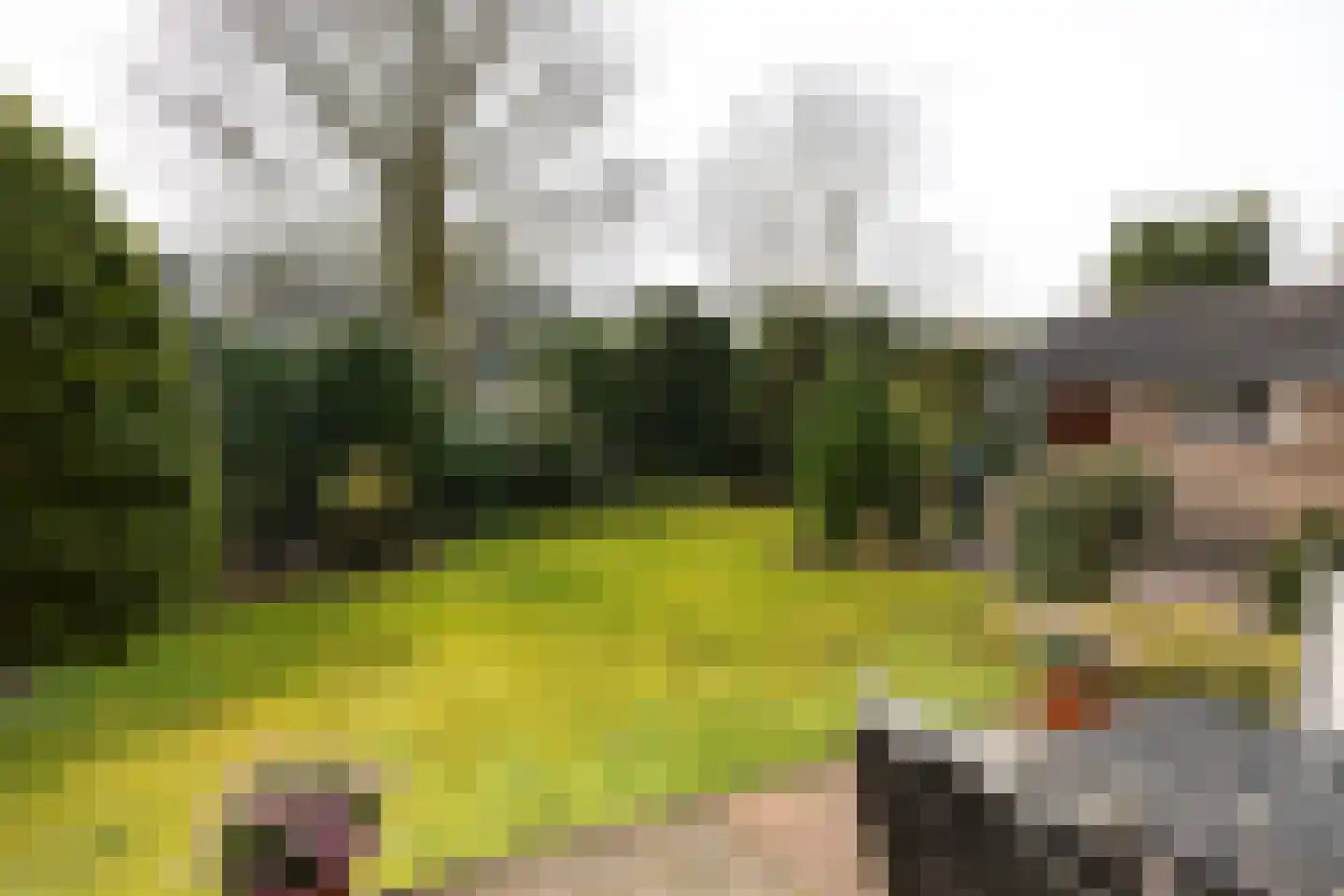 Stationsweg 55 Baarn thumbnail 32