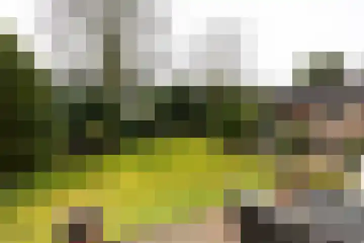 Stationsweg 55 Baarn thumbnail 34